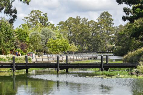 Gold Coast Botanic Gardens - Things to See & Do