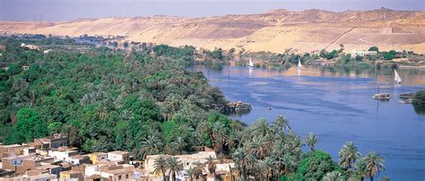 Egypt Fleet Overview