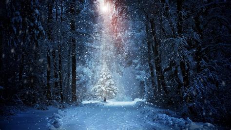 Winter Snow Forest Wallpapers - Wallpaper Cave