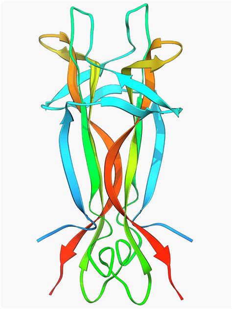 Nerve Growth Factor Molecule Photograph by Laguna Design/science Photo ...