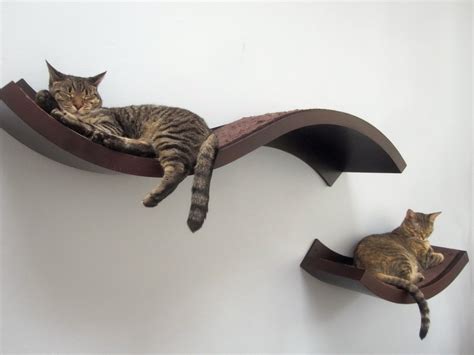 Amazing Wall Mounted Cat Bed Ideas Best Home Decorations Magazine ...