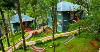 20 Best Budget Hotels In Munnar For A Perfect Stay In 2023