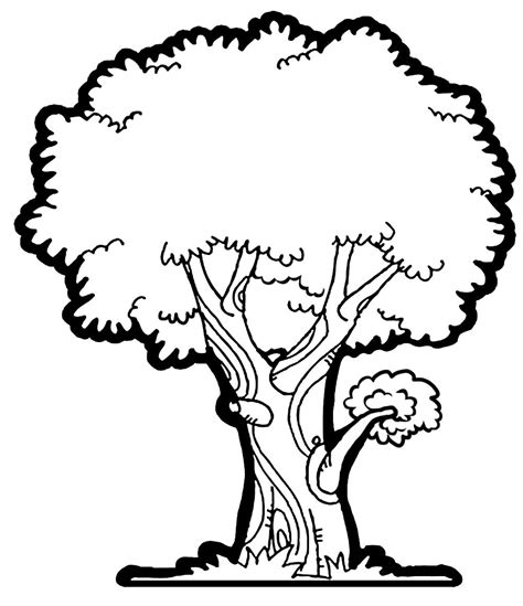 Black and white tree, Tree coloring page, Tree drawing