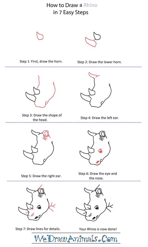 How to Draw a Rhino Head