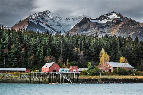 The Best Ketchikan Shore Excursions & Must-See Wildlife Tours