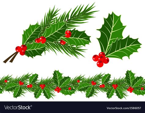 Holly leaves and berries Royalty Free Vector Image