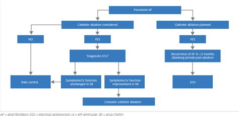 Figure 4 from Electrical Cardioversion for Persistent Atrial ...