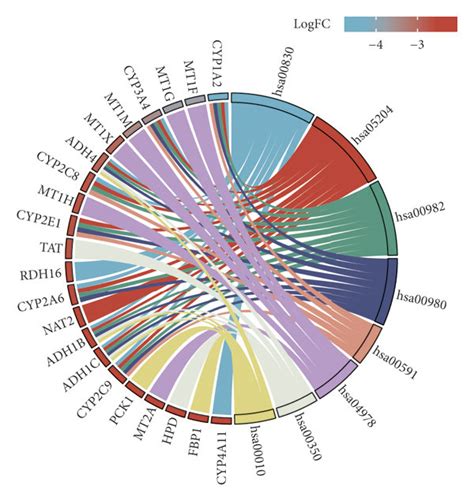 KEGG pathway enrichment analyses of candidate genes. (a) KEGG pathway ...