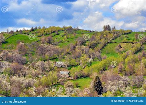 Countryside Village in Romania Stock Image - Image of sunny, green ...