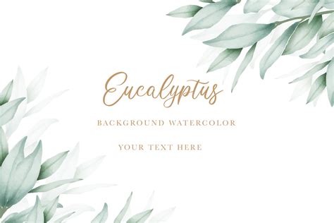 Watercolor Eucalyptus Background Graphic by ningsihretno262 · Creative ...