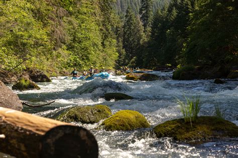 North Umpqua River Rafting Trips With Ouzel Outfitters