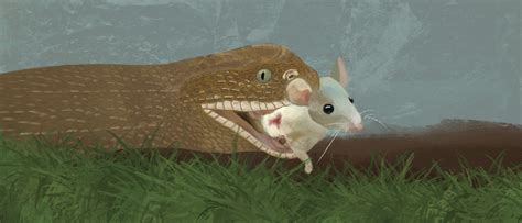 African Spiny Mice Can Regrow Skin: A Model for Human Wound Healing ...