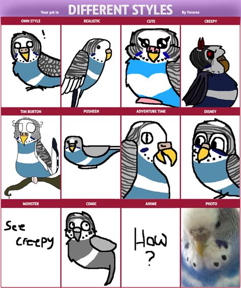 Budgie Meme by peculiarjotaro7 on DeviantArt