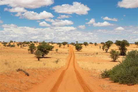 Kgalagadi Transfrontier Park Safari Guide - Africa Freak | Africa ...