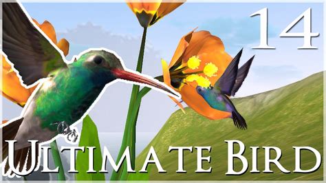 Teeny Hummingbird Wings Take Flight!! 🐦 Ultimate Bird Simulator ...