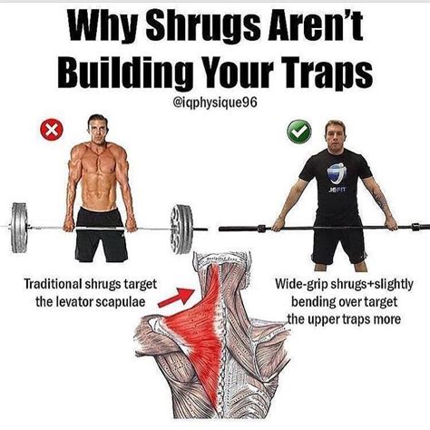 11 Exercises For Developing Bigger & Broader Traps - GymGuider.com ...