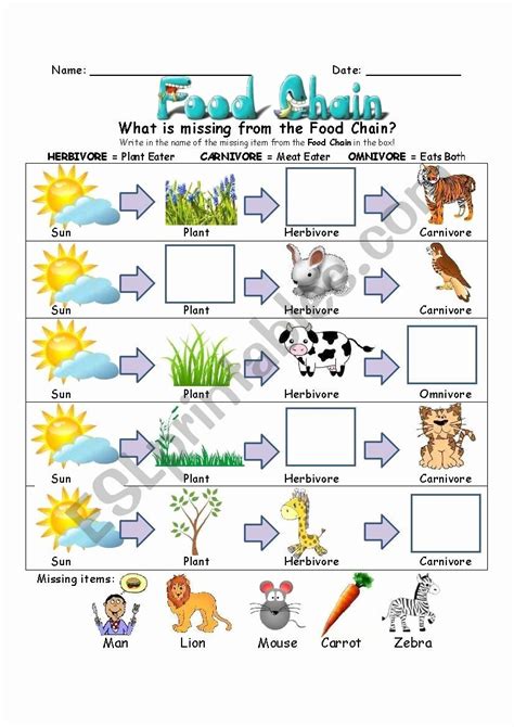 50 Food Chain Worksheet Pdf in 2020 (With images) | Food chain, Food ...