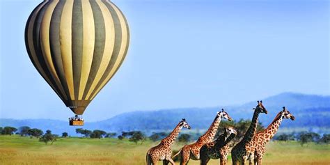 3 Days Serengeti Balloon Safari - Tanzania Wildlife Safari Tours