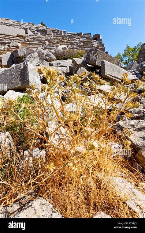 the old temple and ruins Stock Photo - Alamy