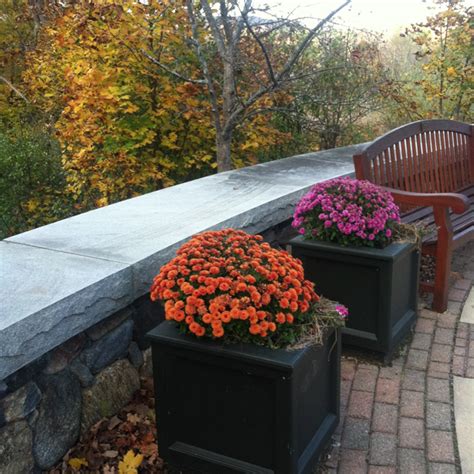 Five Ideas for Creating a Colorful Fall Garden - Urban Gardens