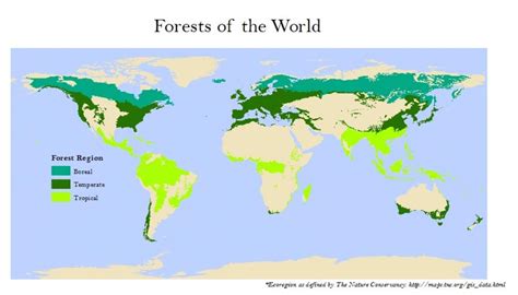 Ecoregions | Global Forest Atlas