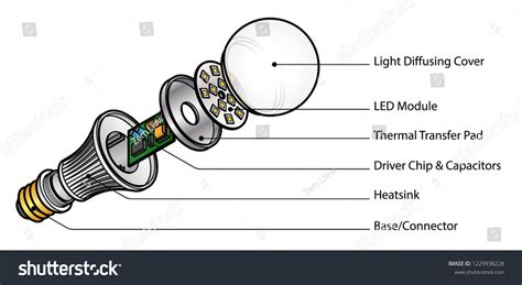 Exploded Diagram Led Light Emitting Diode Stock Vector (Royalty Free ...