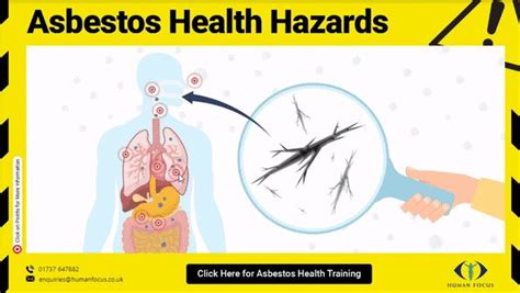 Asbestos Health Hazards Infographic | Human Focus