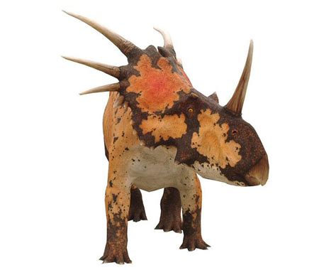 CM Studio - Life-Size Sculptures - Styracosaurus