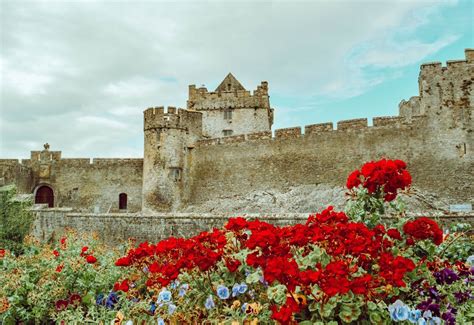 Cahir Castle Blog - Tipperary Tourism