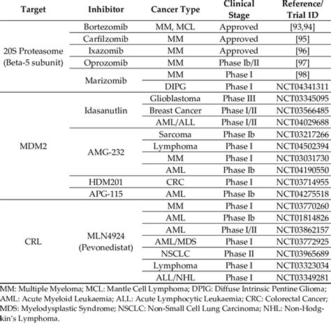 Inhibitors of the Ubiquitin Proteasome System in Clinical Development ...