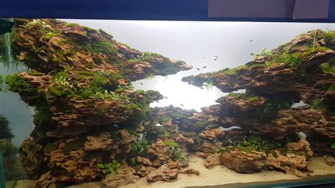 Dragon stone setup aquarium tank - YouTube