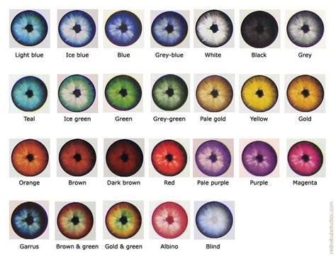 Rare Eye Colors In Humans