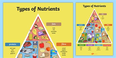 Types of Nutrients Pyramid Poster | Nutrients in Food