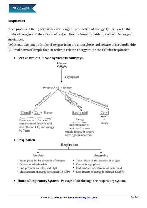 Class 10th Science Life Processes NCERT Notes CBSE 2023