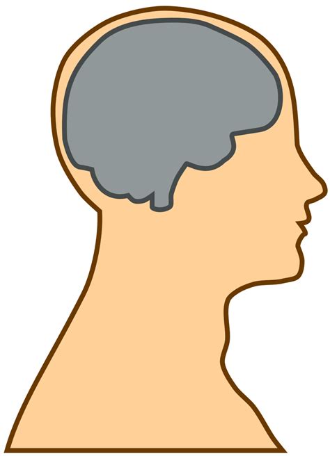 Public Domain Clip Art Image | Silhouette of a brain | ID ...