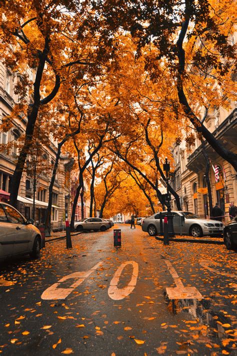 Autumn City Street Pictures, Photos, and Images for Facebook, Tumblr ...