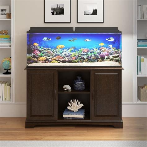 A Beginner's Guide To 75 Gallon Aquarium Setup - Fishxperts