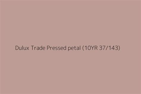 Dulux Trade Pressed petal (10YR 37/143) Color HEX code