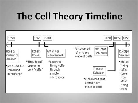 Cell History Timeline