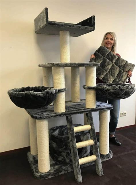 Best Cat Trees for Large Cats - 15 Choices for 2021 | Raise a Cat