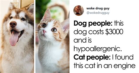 40 Of The Best “Dog People Vs. Cat People” Tweets | Bored Panda