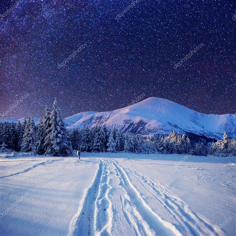 Starry sky in winter snowy night — Stock Photo © myronstandret #58384543