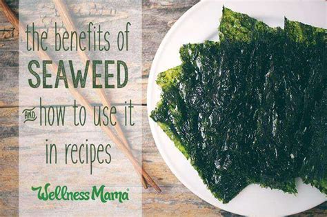 The Benefits of Seaweed (And When To Avoid It) | Wellness Mama