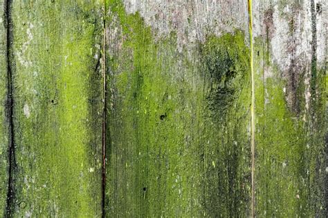 Premium Photo | Texture of a weathered wood wall