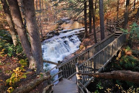 Premium Photo | Autumn creek with hiking trail