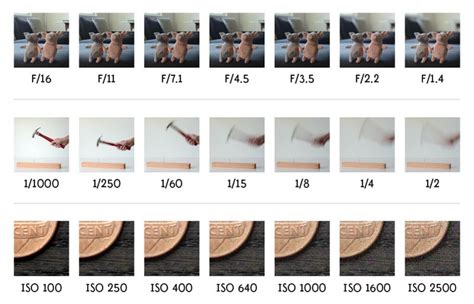 Shutter Speed Chart and Tips on How to Master It - BorrowLenses Blog ...