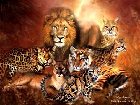 Big Cats - Wild Animals Wallpaper (34365409) - Fanpop