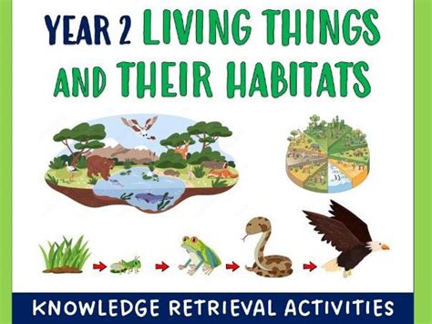 Living Things and their Habitats - Knowledge Retrieval Activities Big ...