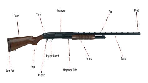 Parts of a Shotgun: A Complete Guide - The Sporting Lodge