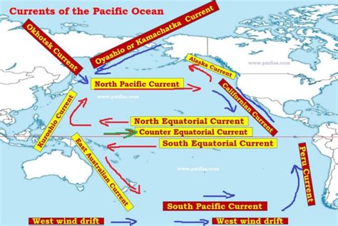 Pacific Ocean Currents | Phytoplankton and Fishing - PMF IAS